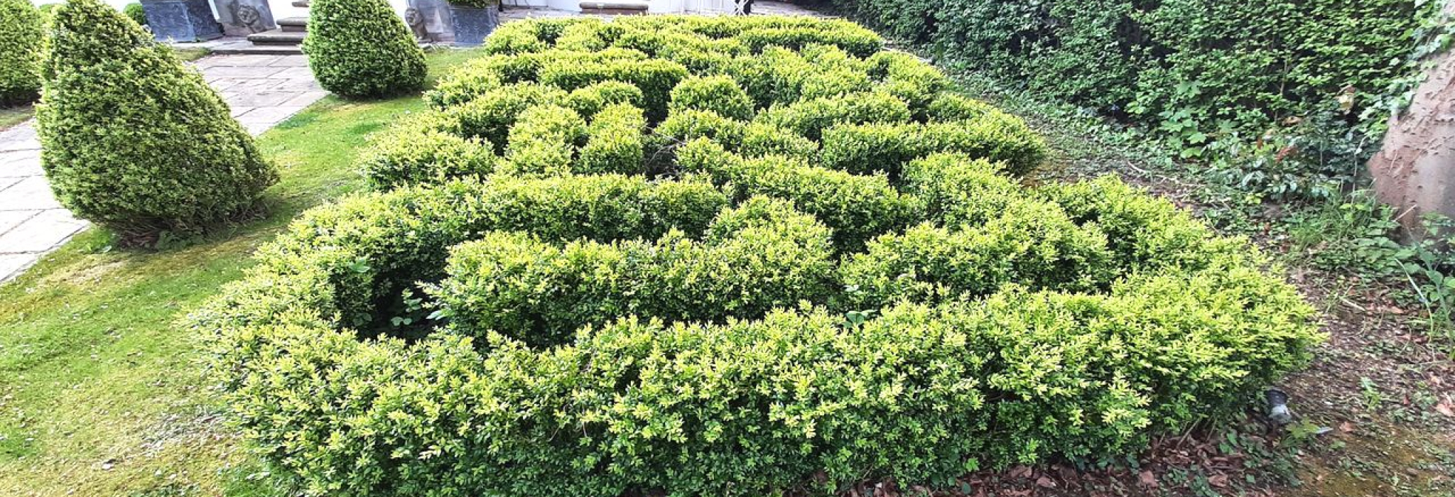 Absolute Tree Care and Gardens | Chester's Only ARB Approved Tree Surgeon