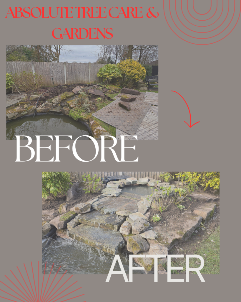 Before and after